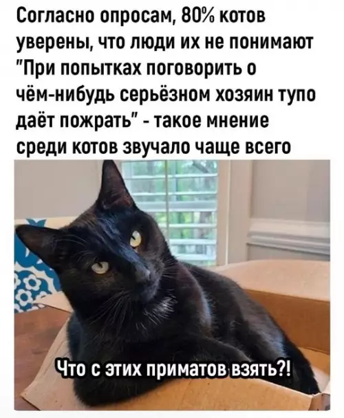 Смешная картинка №766734