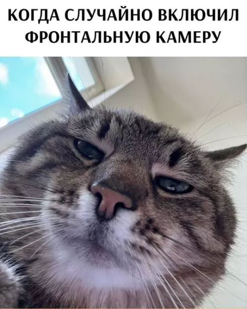 Смешная картинка №771666