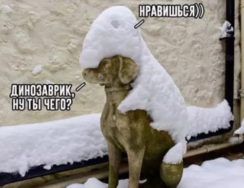 Смешная картинка №746693