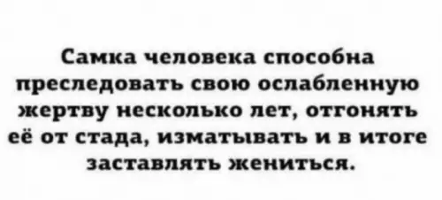 Смешная картинка №668580
