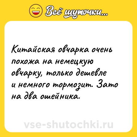 Шутка: Китайская овчарка очень похожа на немецкую овчарку, только дешевле и немного тормозит. Зато на два ошейника.