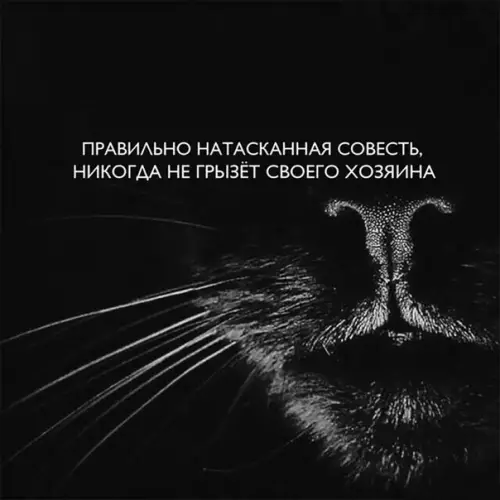 Смешная картинка №258897