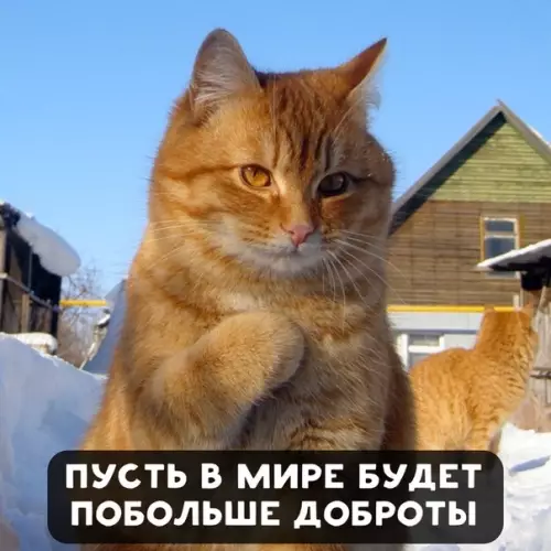 Смешная картинка №437583 Пoжeлaния в Hoвoм гoдy