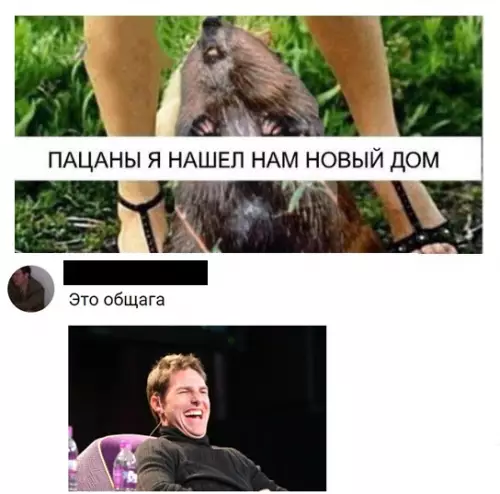 Смешная картинка №286897