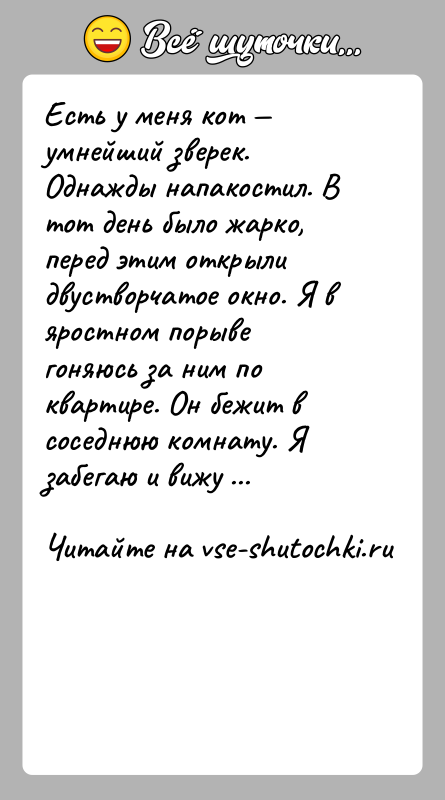 История: Есть у меня кот умнейший зверек. Однажды напакостил. В тот день было жарко, перед этим открыли двустворчатое окно. Я