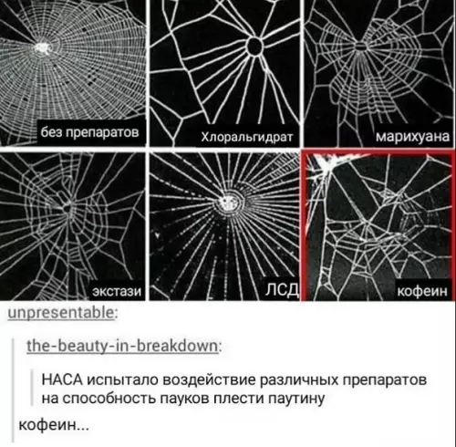 Смешная картинка №352092 Теперь понятно, почему мне так сложно даётся работа