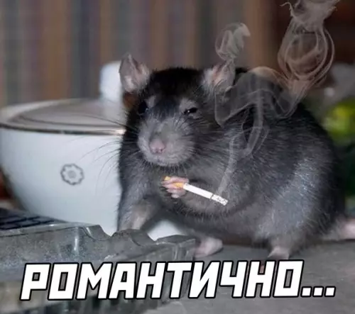продолжение Смешная картинка №610305