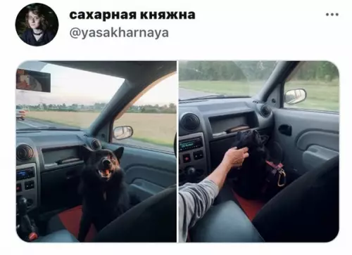 продолжение Смешная картинка №586760