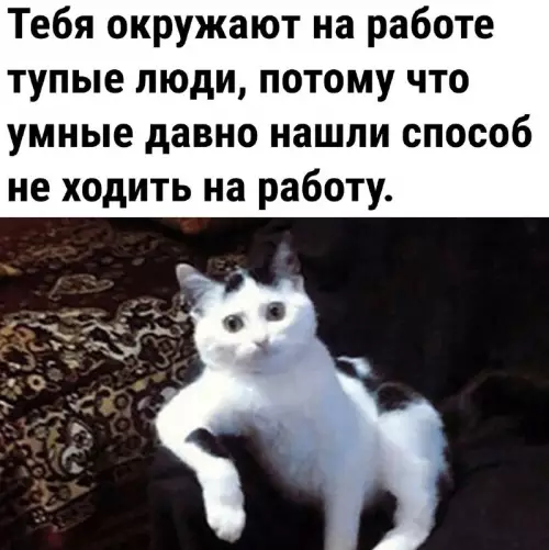 Смешная картинка №704629 работа