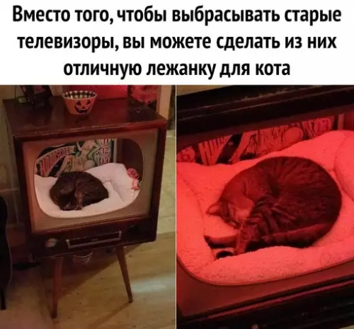 Смешная картинка №684306