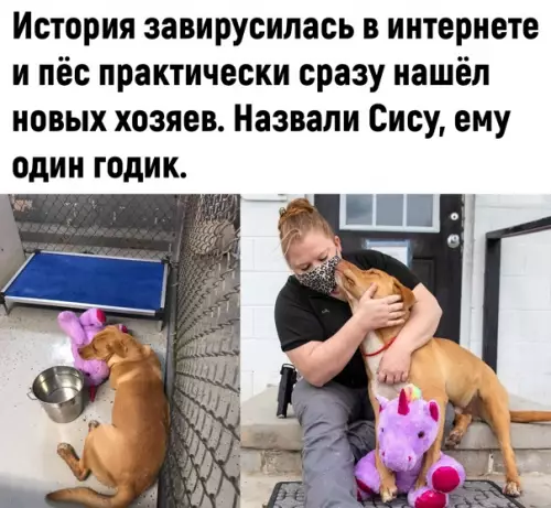 продолжение Смешная картинка №562901 Дoбpoтa дня: