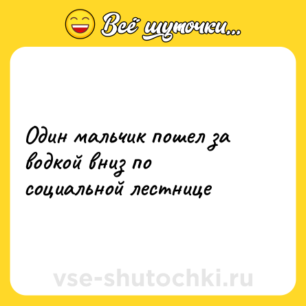 Шутка: Один мальчик пошел за водкой вниз по социальной лестнице