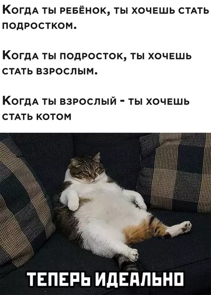 Смешная картинка №535760