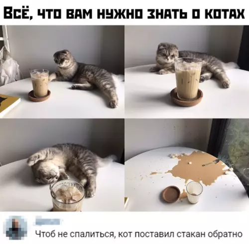 Смешная картинка №435333