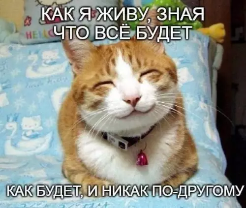 Кот знает все секреты - КАК Я ЖИВУ, ЗНАЯ ЧТО ВСЁ БУДЕТ КАК БУДЕТ, И