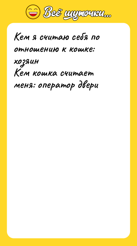 Кем я считаю себя по отношению к кошке: хозяин 