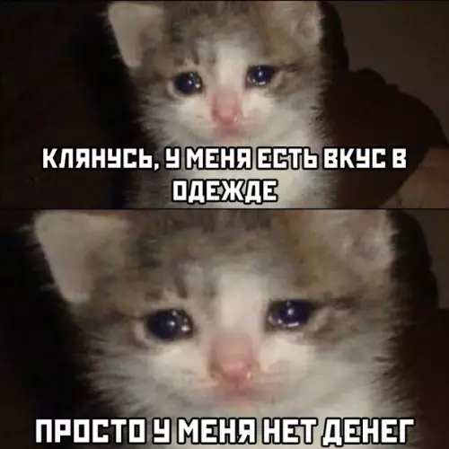 Смешная картинка №496685