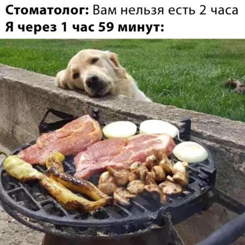 Смешная картинка №506974 Слишком жизненно