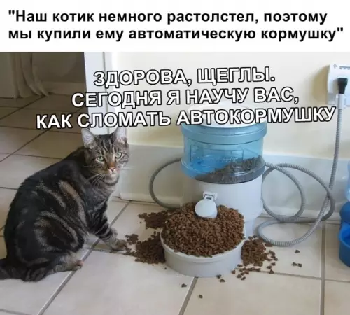 Смешная картинка №324964