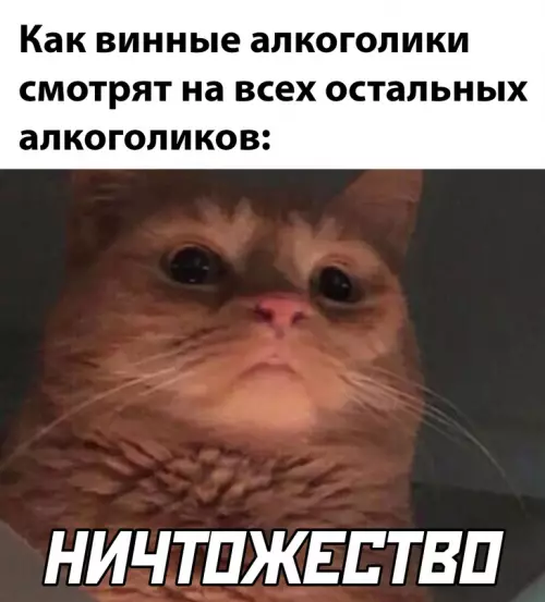 Смешная картинка №664058