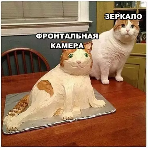 Смешная картинка №292841