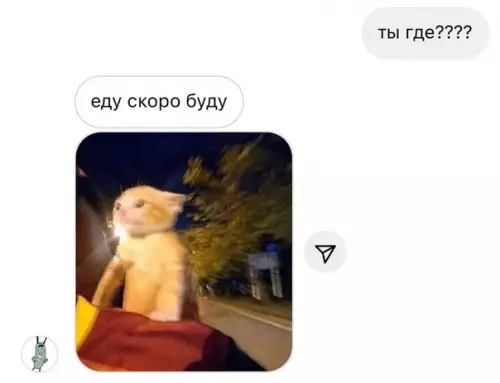 Смешная картинка №590085 Убeдитeльнo