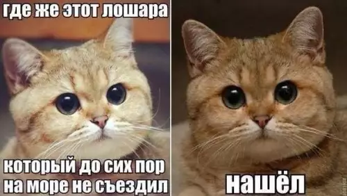 Смешная картинка №201595