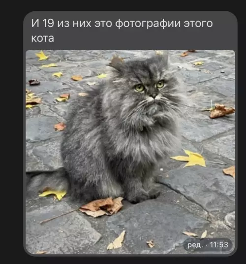 продолжение Смешная картинка №613858