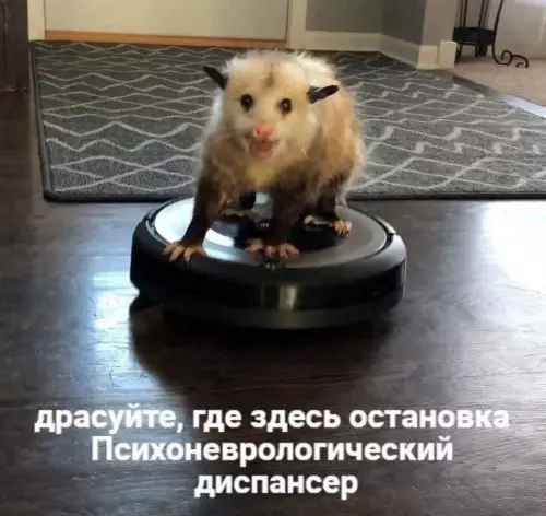 Смешная картинка №664116 Конечная