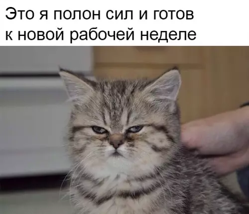 Смешная картинка №336596