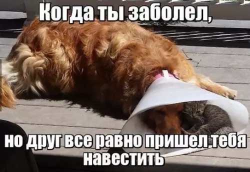 Смешная картинка №227636