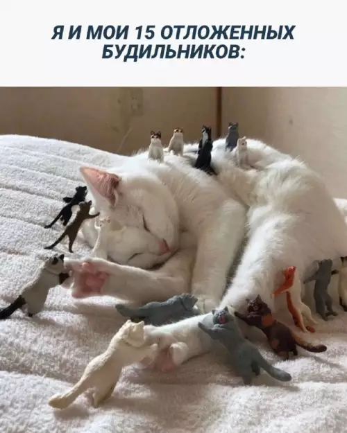 Смешная картинка №664190