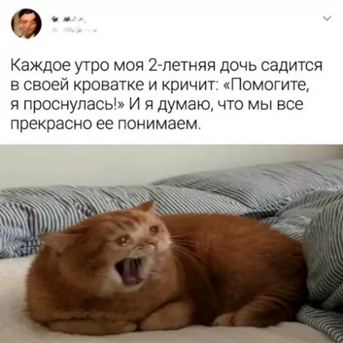 Смешная картинка №649501