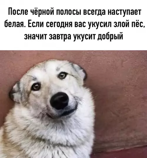 Смешная картинка №621985