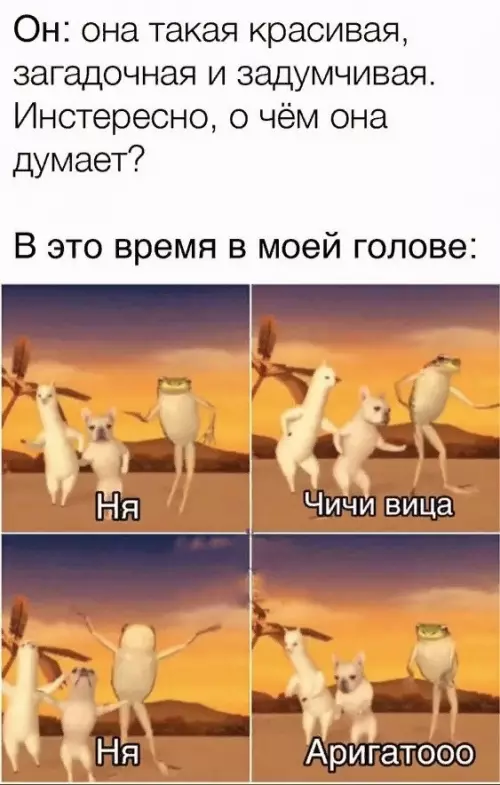 Смешная картинка №661843 И пpичeм тaкиe мыcли пoceщaeют мoю гoлoву нa экзaмeнe
