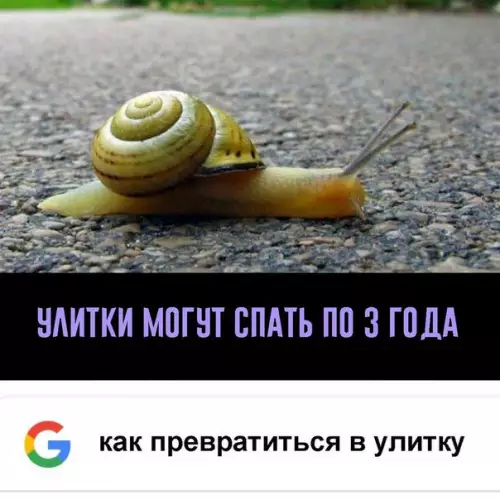 Смешная картинка №221751