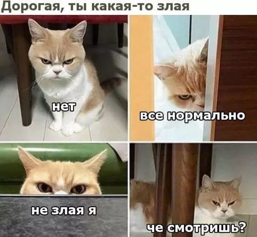 Смешная картинка №212659