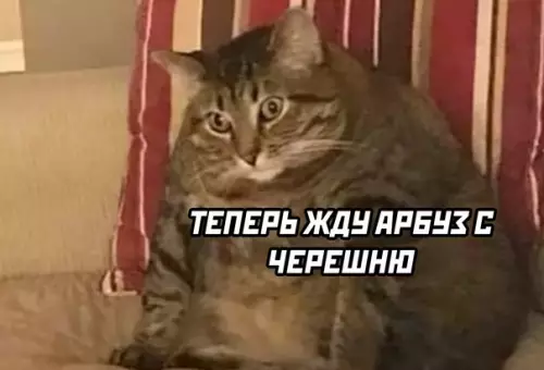 продолжение Смешная картинка №571744