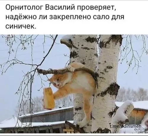 Смешная картинка №671682