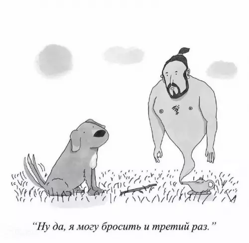 Магия джинна или как не облажаться 🧞‍♂️✨ - Ну да, я могу бросить и третий раз.