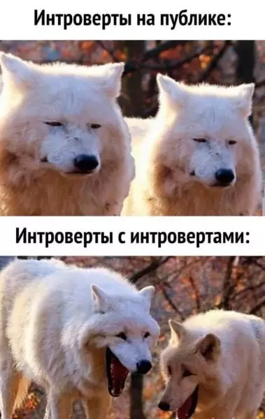Смешная картинка №671641