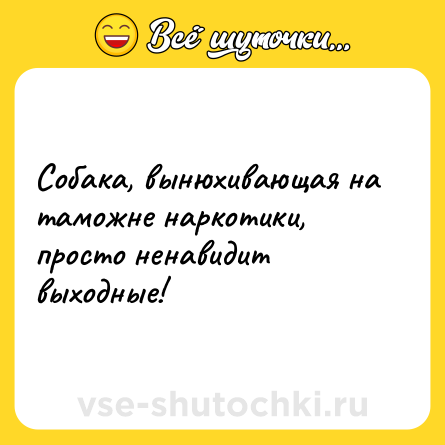 Шутка: Собака, вынюхивающая на таможне наркотики, просто ненавидит выходные!