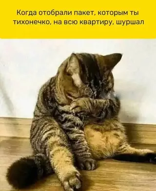 Смешная картинка №682212