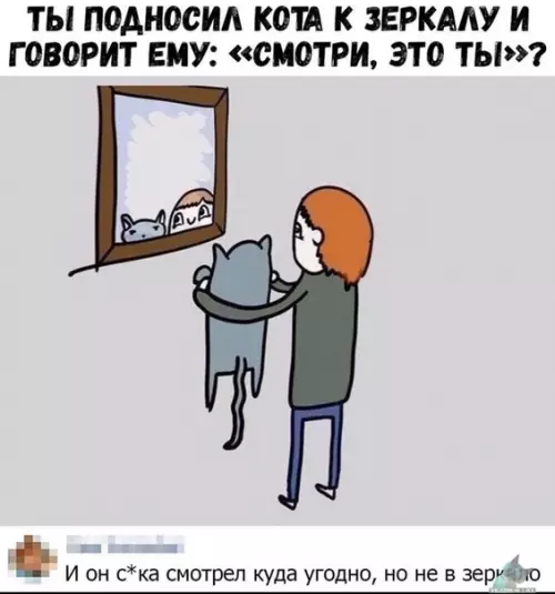 Смешная картинка №434338