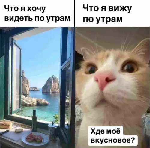 Смешная картинка №731157