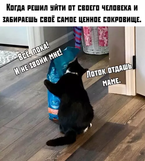 Смешная картинка №391457