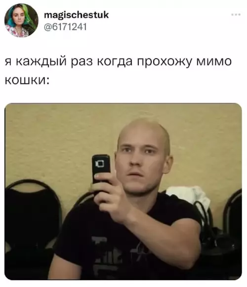 Смешная картинка №701654
