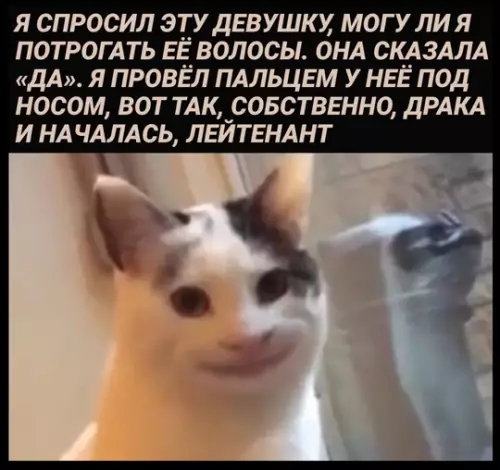 Смешная картинка №768035