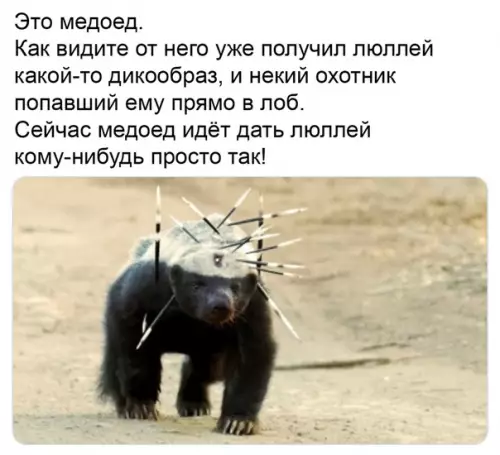 Смешная картинка №516733 Страшная зверюга.