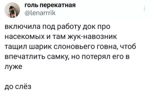 Смешная картинка №736479